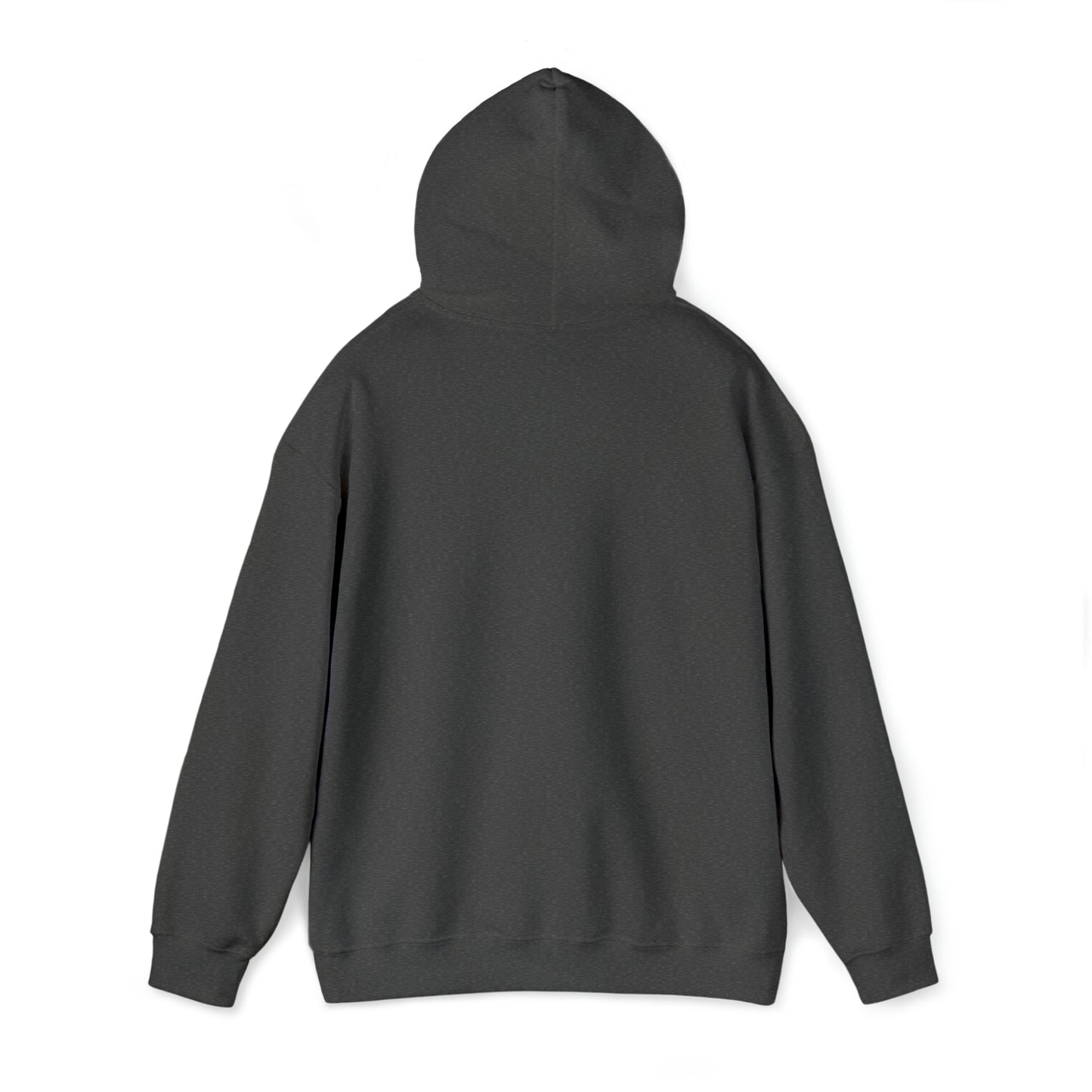 BV Life Adult Hoodie