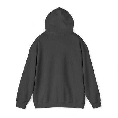 BV Life Adult Hoodie