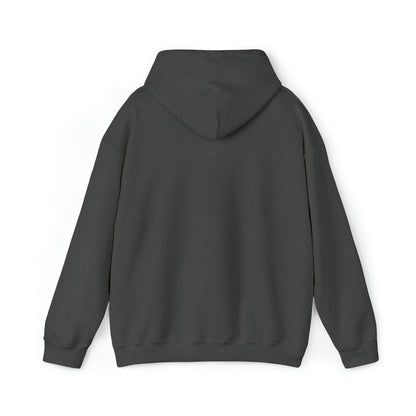 BV Life Adult Hoodie